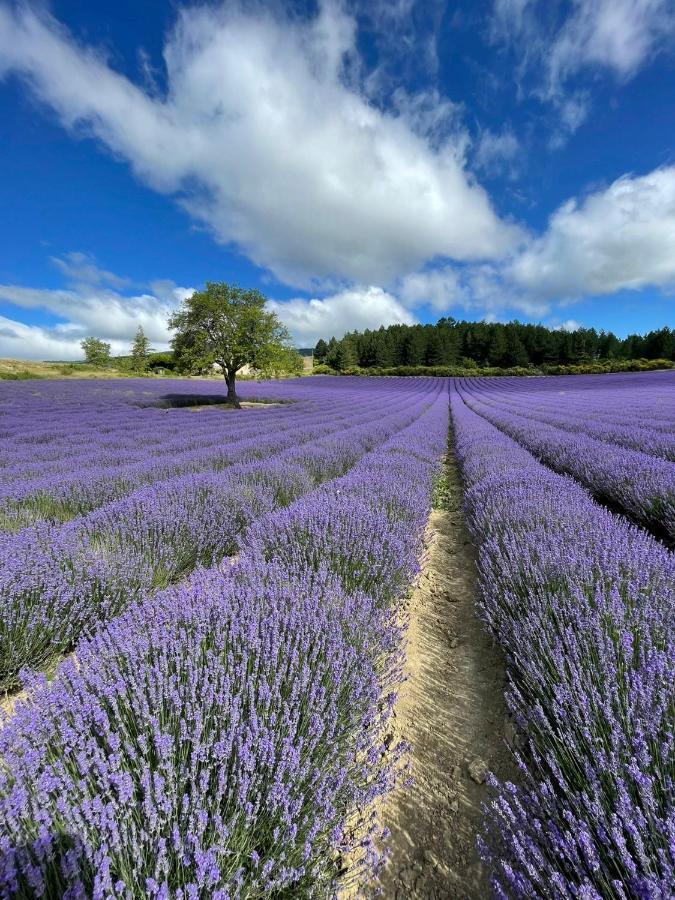 A Mont Nos Hotes 2 Mollans-sur-Ouveze Экстерьер фото